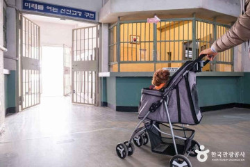 숭림사(익산) 여행 추천 - 메고지고