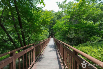 용화산 (강원평화지역 국가지질공원) 여행 추천 - 메고지고
