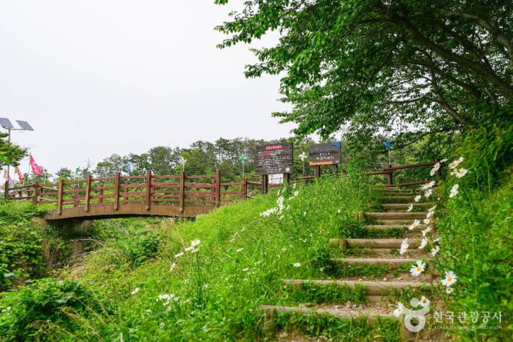 화동못수변공원 여행 추천 - 메고지고