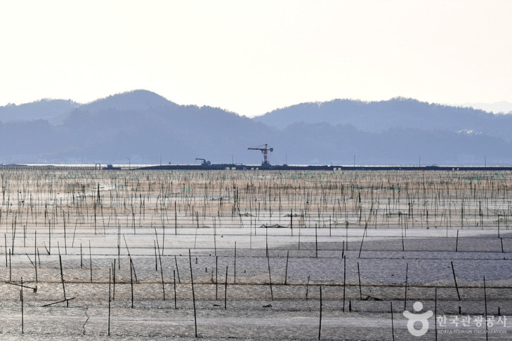 순천만 화포포구 여행 추천 - 메고지고