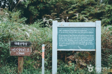 유채꽃프라자 여행 추천 - 메고지고