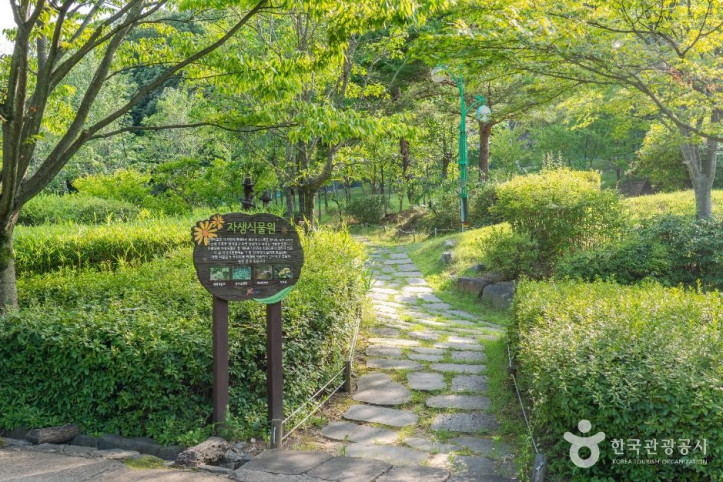구미에코랜드 여행 추천 - 메고지고