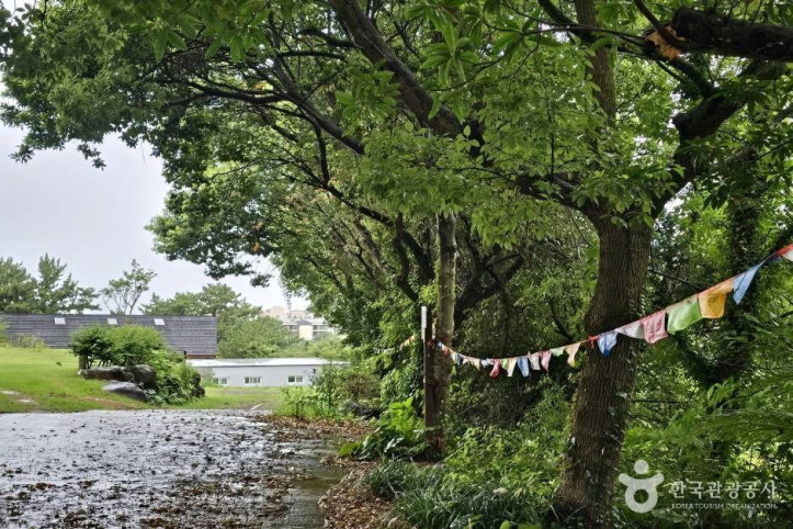 광명사(제주) 여행 추천 - 메고지고