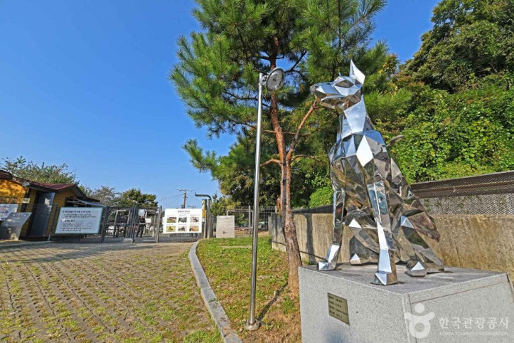 광교호수공원 반려견 놀이터 여행 추천 - 메고지고