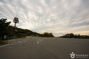 경주 장항리 서 오층석탑 여행 추천 - 메고지고