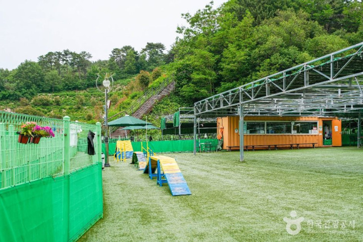 울산애견공원 여행 추천 - 메고지고