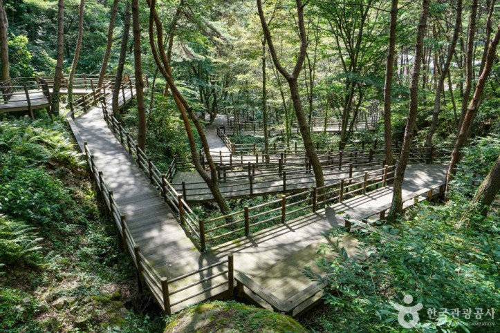 치유의숲 무장애길 여행 추천 - 메고지고