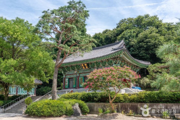 과천 은행나무길 여행 추천 - 메고지고