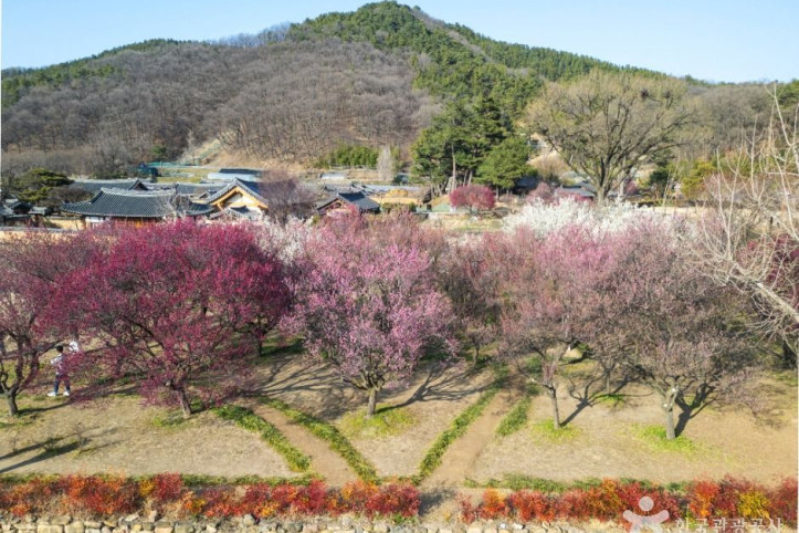 남평문씨본리세거지 여행 추천 - 메고지고
