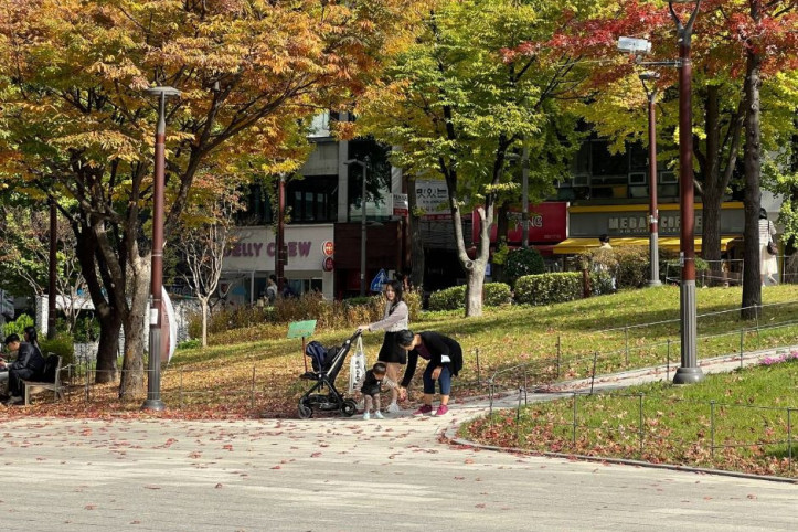 대현문화공원 여행 추천 - 메고지고