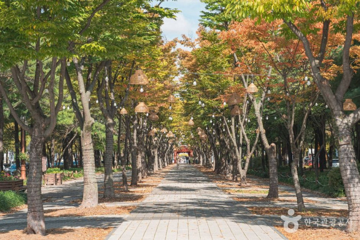 보라매공원(대전) 여행 추천 - 메고지고