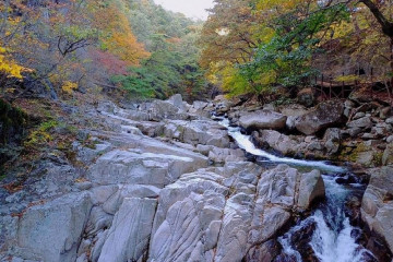 농산정 여행 추천 - 메고지고