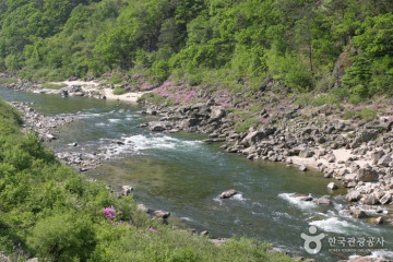 기린성당 여행 추천 - 메고지고