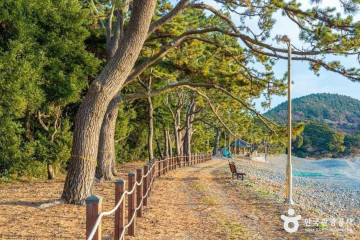 미라리해수욕장 여행 추천 - 메고지고