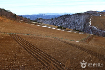 노추산 여행 추천 - 메고지고