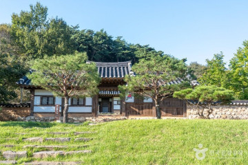 평림댐 장미공원 여행 추천 - 메고지고