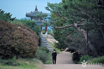 팔달공원 여행 추천 - 메고지고