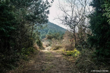 비자림 여행 추천 - 메고지고