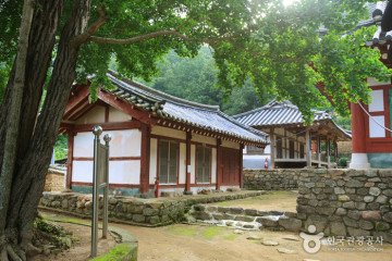 빠삐용Zip 여행 추천 - 메고지고