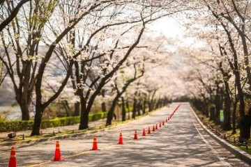 백련사(용인) 여행 추천 - 메고지고