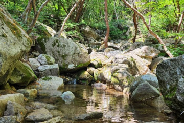 성재서당 여행 추천 - 메고지고