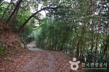 대황강 자연휴식공원 여행 추천 - 메고지고