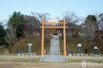 양양남대천체육공원 여행 추천 - 메고지고
