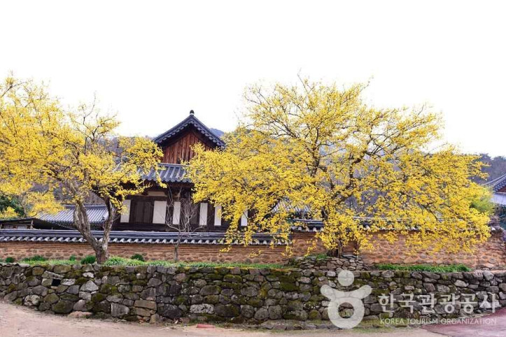 조계산도립공원 여행 추천 - 메고지고