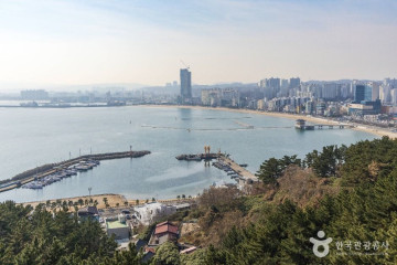 영일대 장미원 여행 추천 - 메고지고