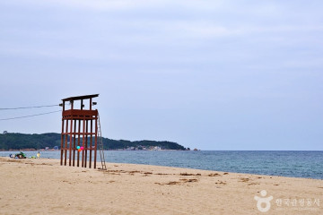 망양정 여행 추천 - 메고지고