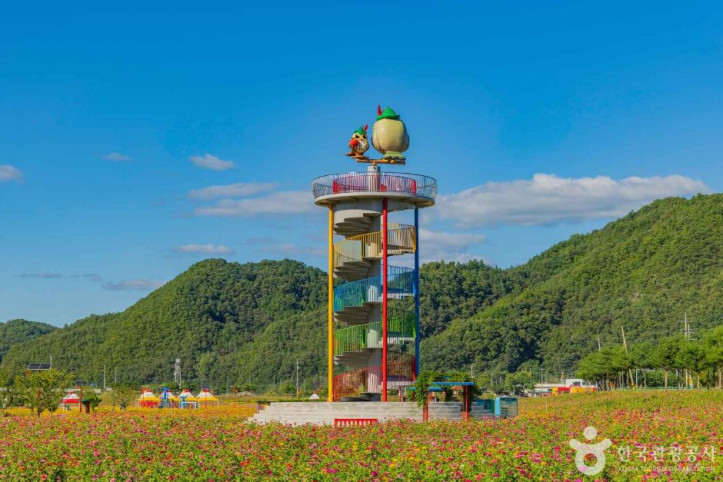 산소카페 청송정원 여행 추천 - 메고지고