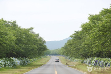 열대과일농장 유진팡 여행 추천 - 메고지고