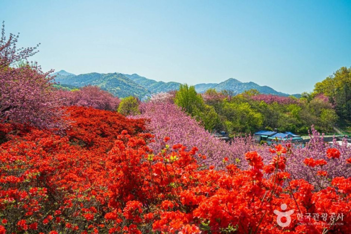 완산공원 여행 추천 - 메고지고
