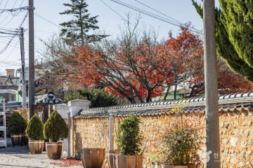 조해영가옥 여행 추천 - 메고지고