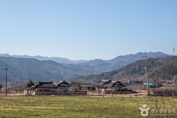 벌영리 메타세콰이어길 여행 추천 - 메고지고