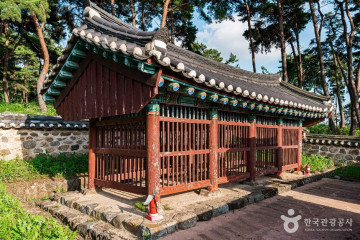 고싸움놀이테마파크 여행 추천 - 메고지고