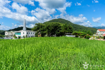 세대공감창의놀이터 여행 추천 - 메고지고