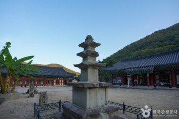 인곡리 모과나무 여행 추천 - 메고지고