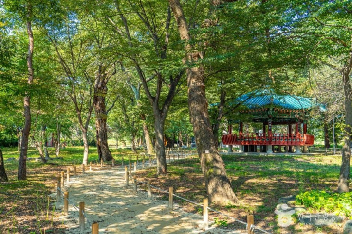 악양 취간림 여행 추천 - 메고지고