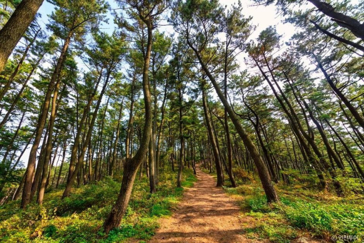 승봉산림욕장 여행 추천 - 메고지고