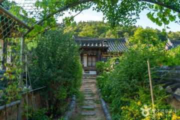 묘골마을 여행 추천 - 메고지고