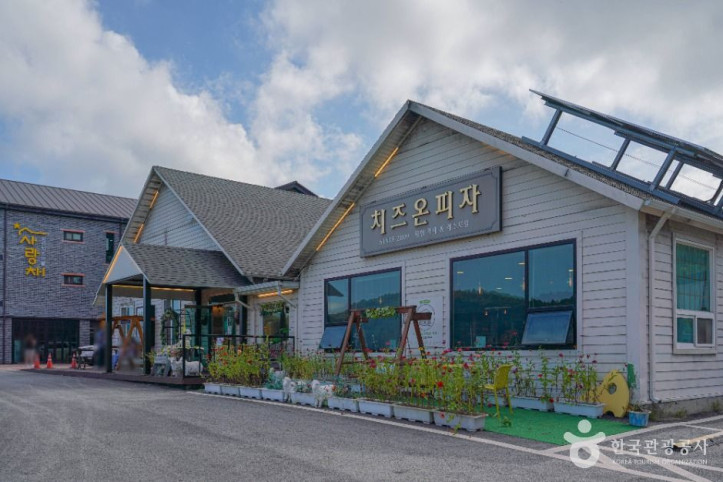 임실 치즈마을 여행 추천 - 메고지고