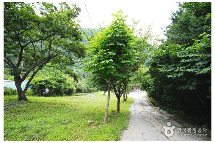 간월산 여행 추천 - 메고지고