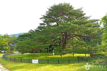 상현서원 여행 추천 - 메고지고