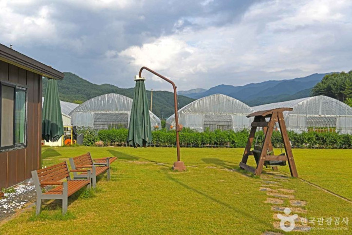 홍천 삼생마을 여행 추천 - 메고지고