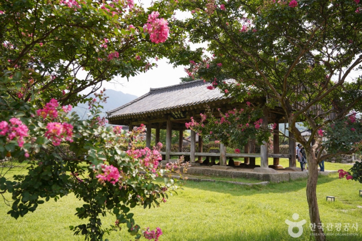 한밤마을돌담길 여행 추천 - 메고지고