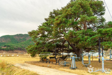 대곡사(의성) 여행 추천 - 메고지고