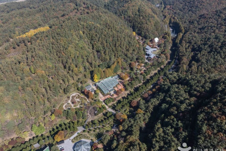 미동산수목원 여행 추천 - 메고지고