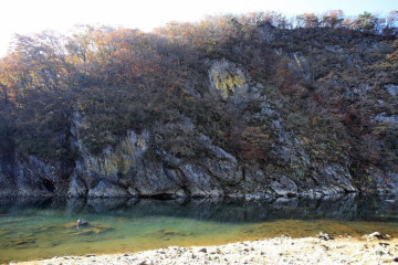 미동산수목원 여행 추천 - 메고지고