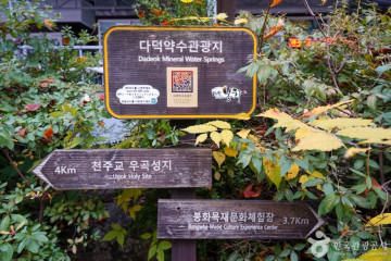 봉화목재문화체험장 여행 추천 - 메고지고